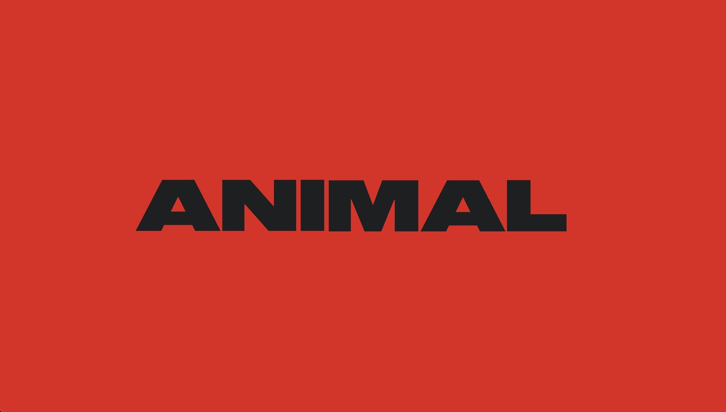 ANIMAL bar interior in Williamsburg with blue lasers cutting through the dancefloor